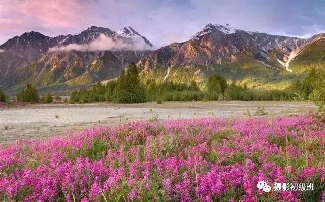 新手相机介绍攻略,新手入门相机的知识