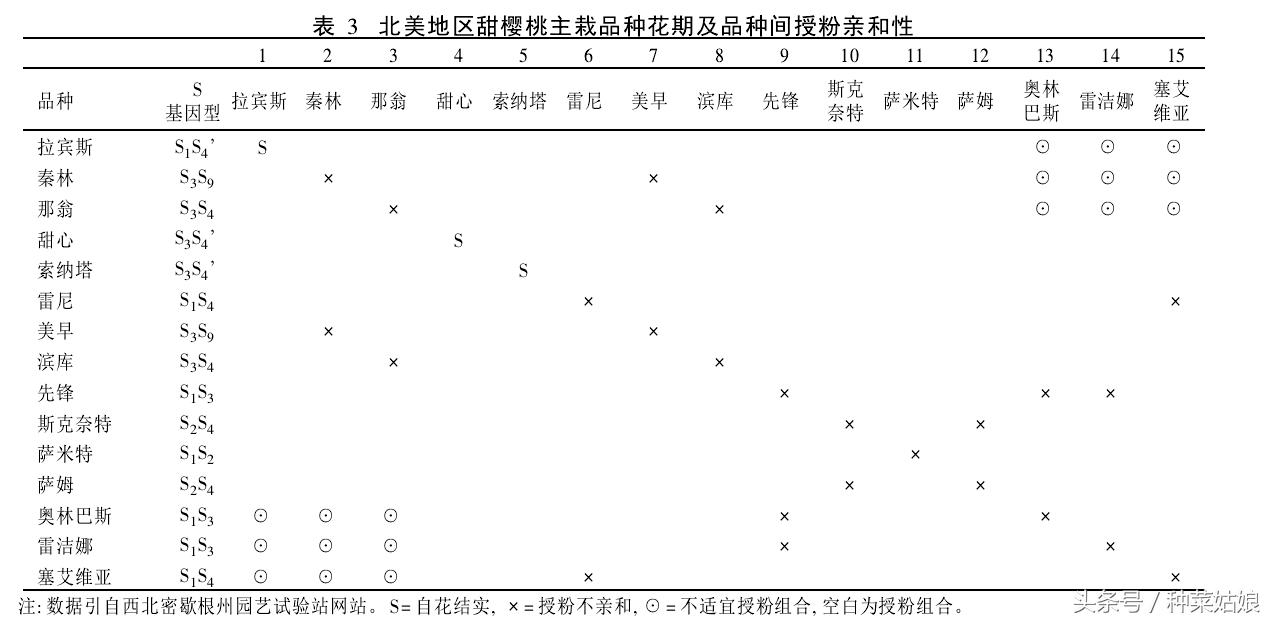 樱桃是怎么种植出来的,人们常说樱桃好吃树难栽