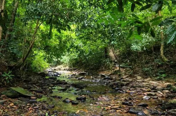 娉板浗鍗佸ぇ闅愯棌宀涘笨,娉板浗鍗佸ぇ闅愪笘娴峰矝