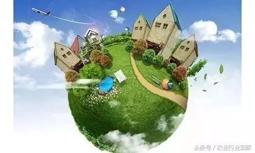 创业致富小型养殖项目,创业小黑板