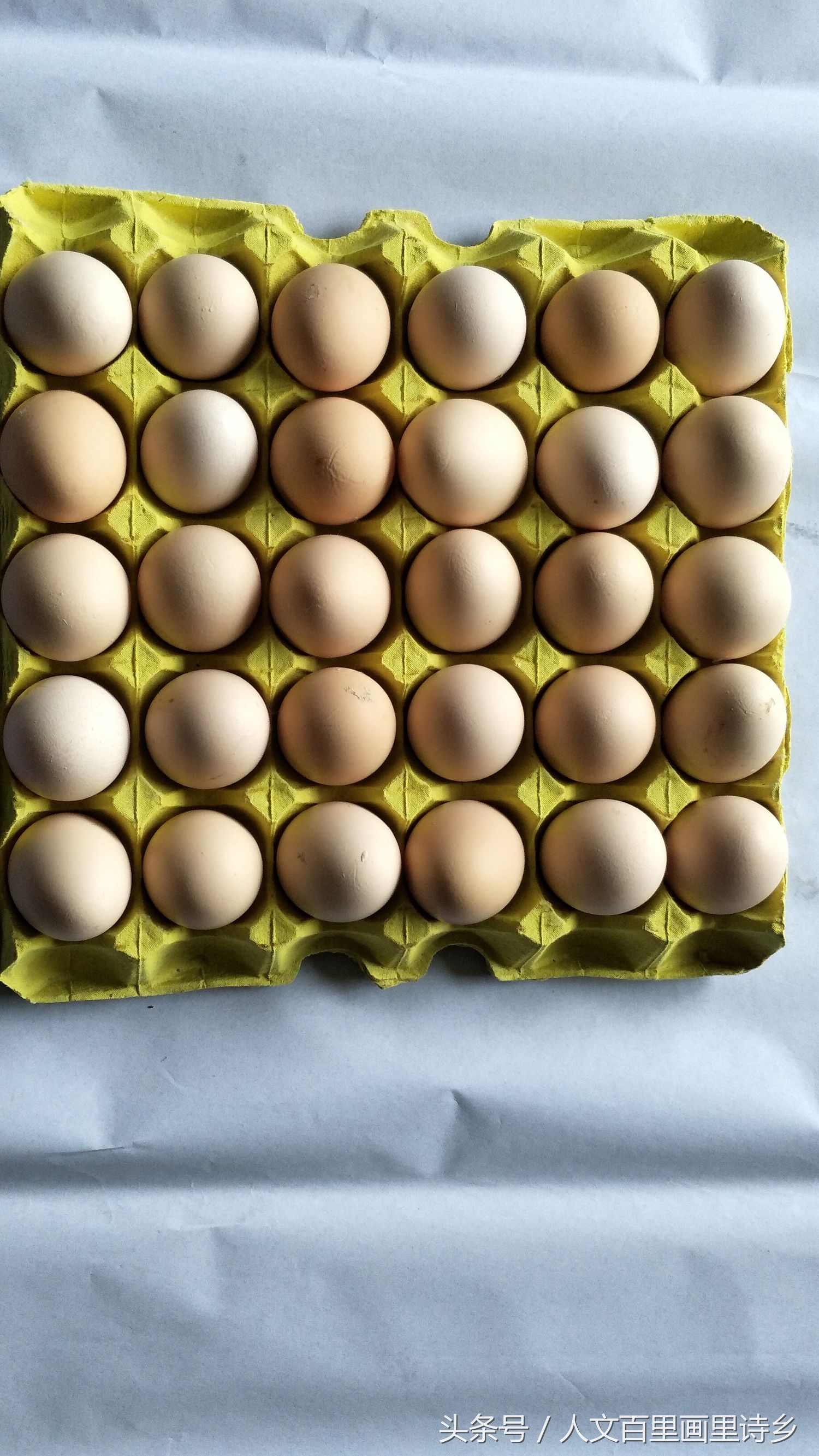 电子商务助力农村发展的成功案例,电子商务助力乡村振兴图片