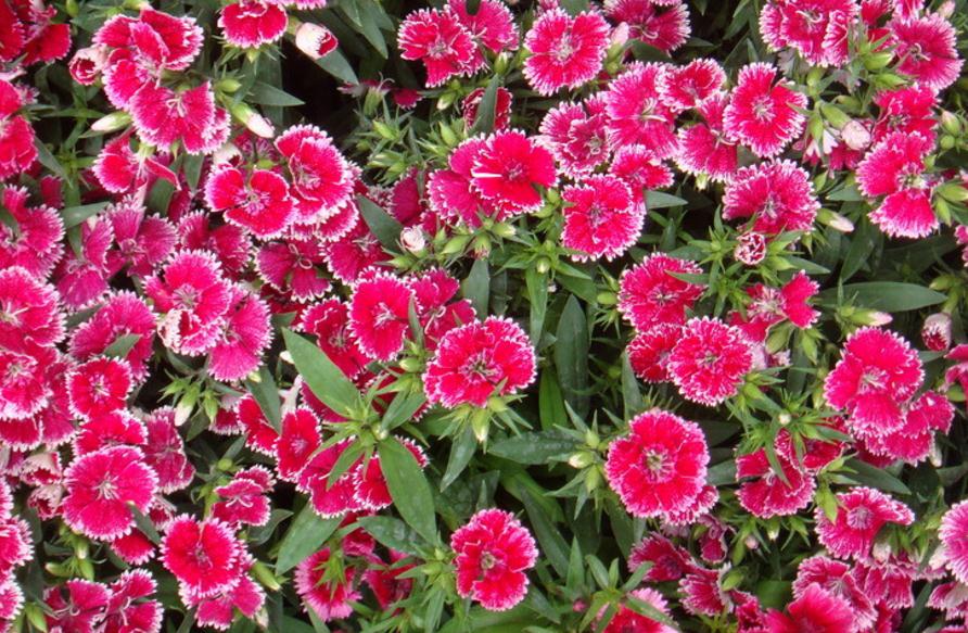 人生中的三大难关是什么,人生三大困境是指什么