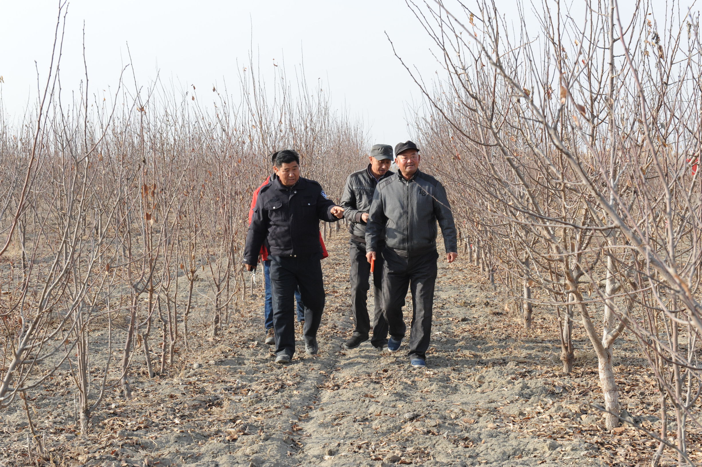 巴州中院访惠聚工作队驻村故事拉村的“黑脸书记”脑梗中风心脏搭桥不畏缩田间地头群众利益挂心间