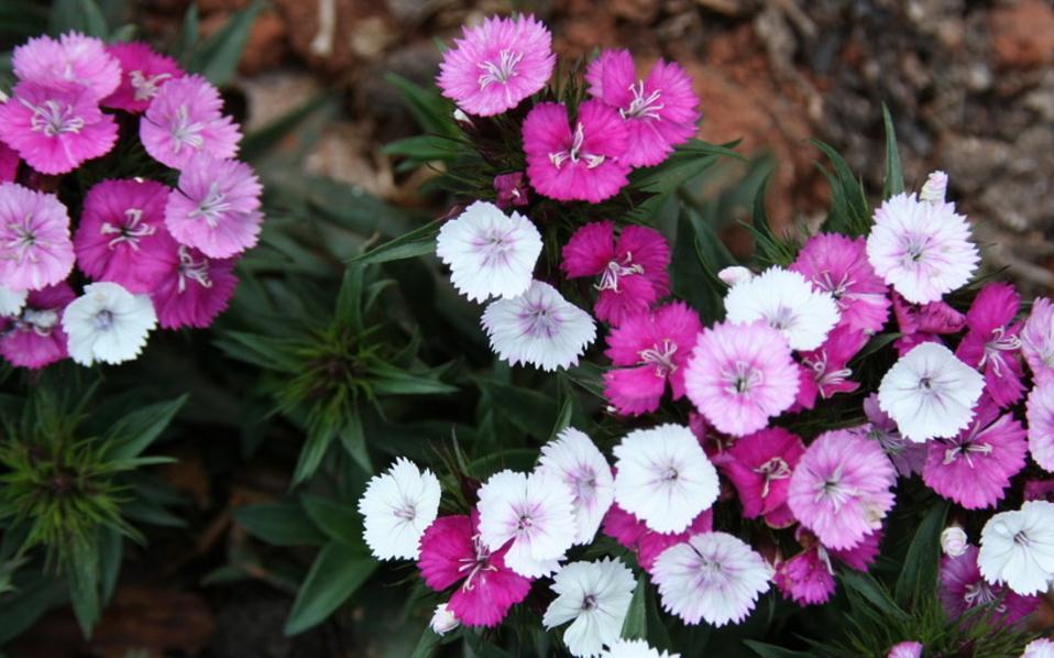 人生中的三大难关是什么,人生三大困境是指什么