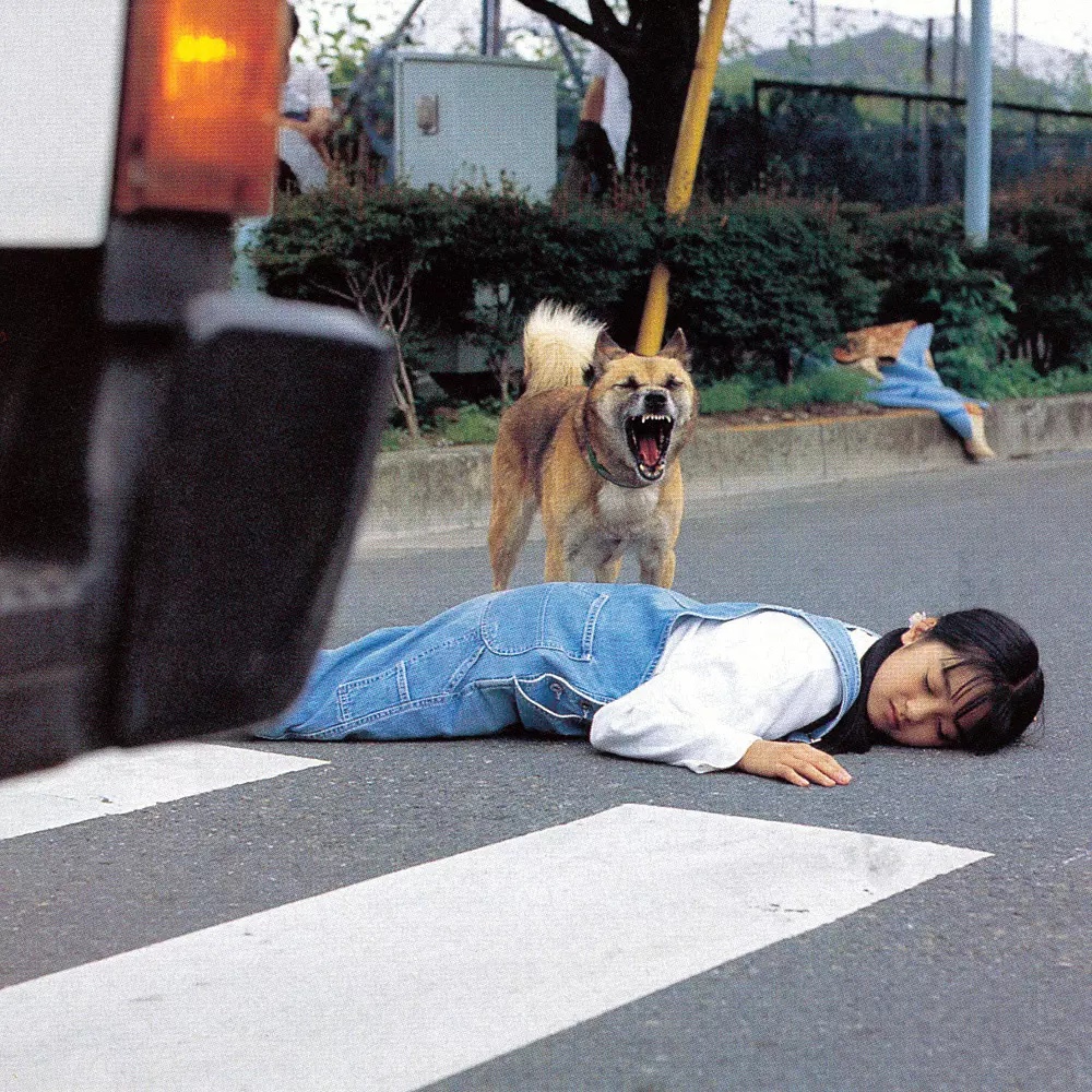 十部让人忘不掉的电影,看了就忘不掉的十部电影