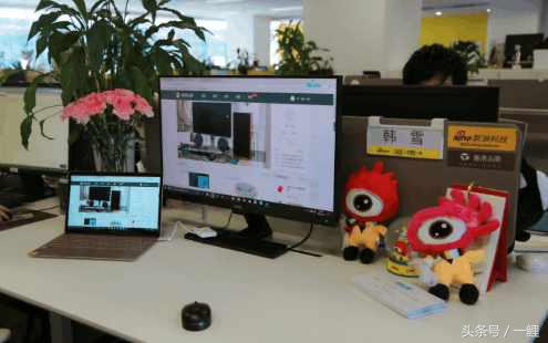 韩雪入职新浪,娱乐圈女星韩雪