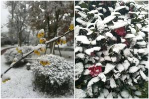 冬天汽车手刹被冻住怎么解决,下雪天汽车手刹线冻住了怎么办