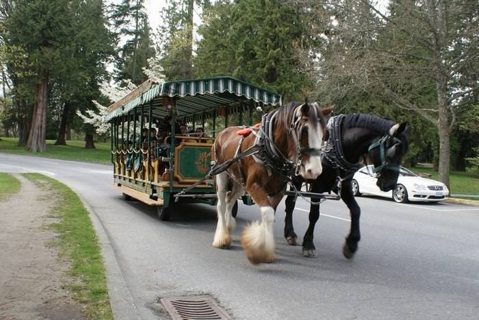 用三天时间，爱上仙境般的温哥华与维多利亚