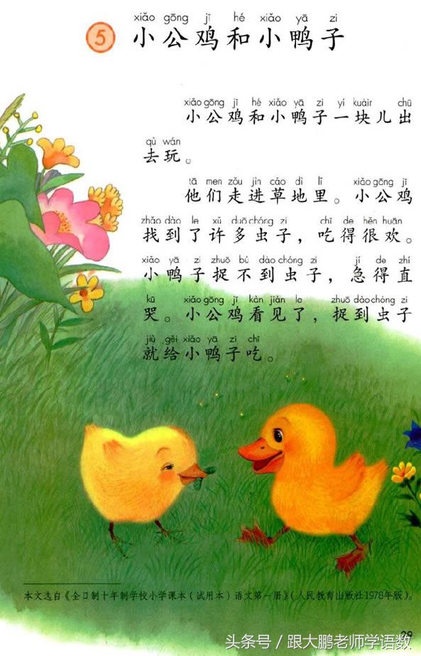 小学一年级语文预习的正确方法,一年级语文小公鸡和小鸭子预习