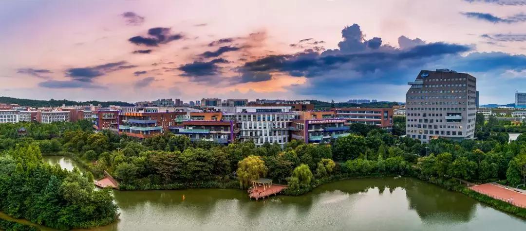 光谷经济发展现状,光谷发展历程与文化