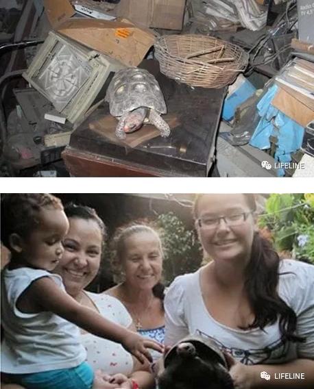 红腿陆龟的养殖方法,红腿陆龟应该怎么养