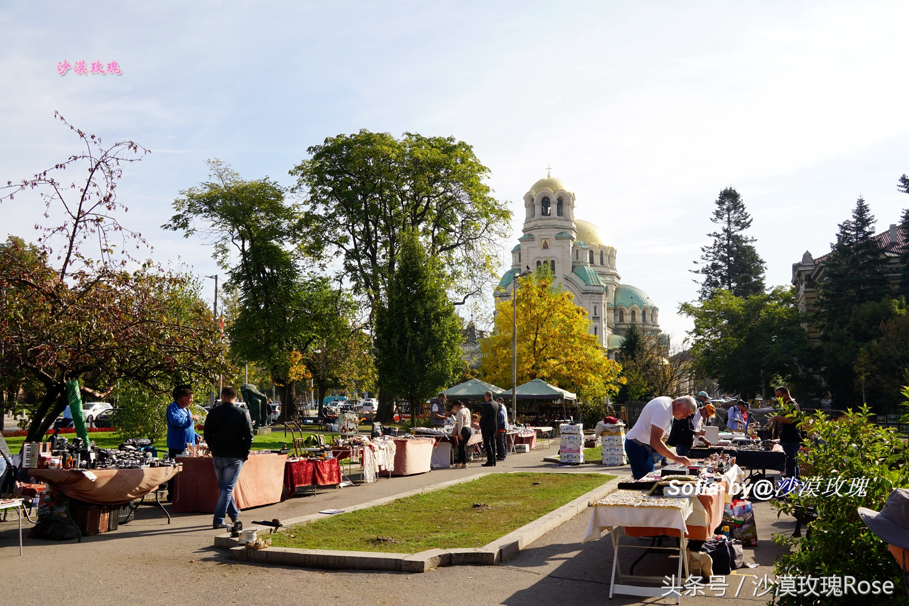 这座花园城市名为“智慧”，你可知它名字的真实来历？