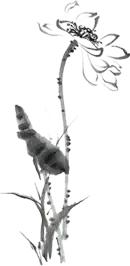 遇到打呼噜的老公,遇到打呼噜的男友怎么办