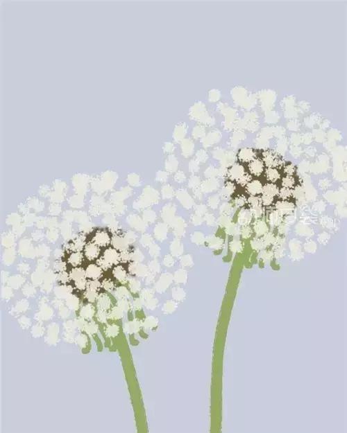 美术作品展示20张高级感,20张美术作品展示模板照片