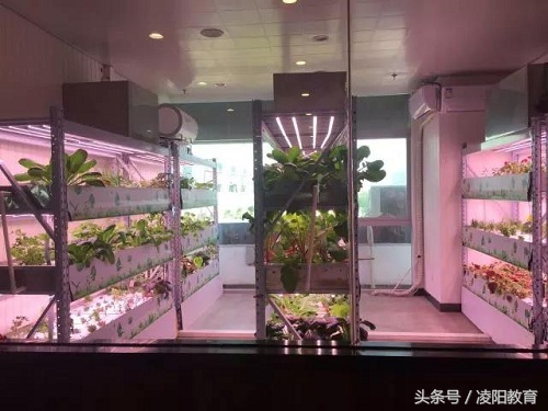 寮曚紒鍏ユ牎浜ф暀铻嶅悎,鍑岄槼鍩硅