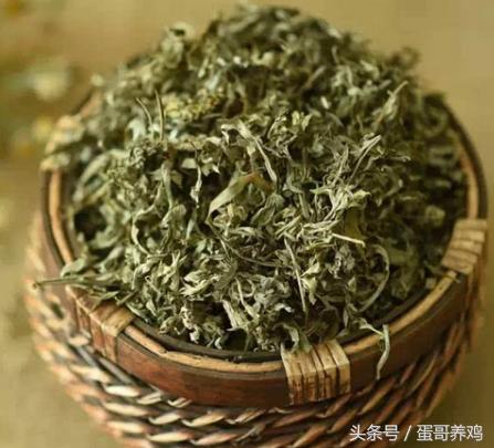 鸡蛋冻了,鸡蛋冻着了