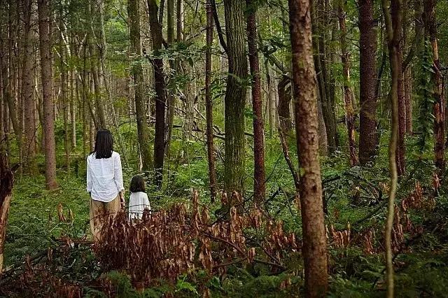 2018恐怖片超全盘点,2017恐怖片在线观看