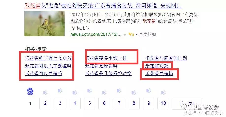 禾花雀搜索对比｜看百度搜狗360必应的社会责任和对用户意见的反应