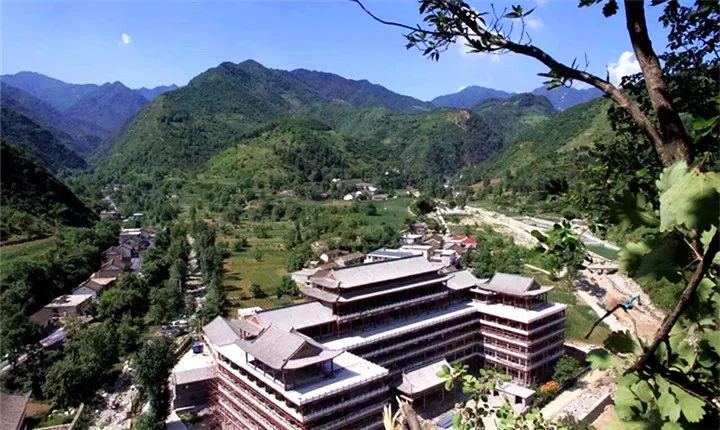 报告老板有几季,报告老板从哪里火的