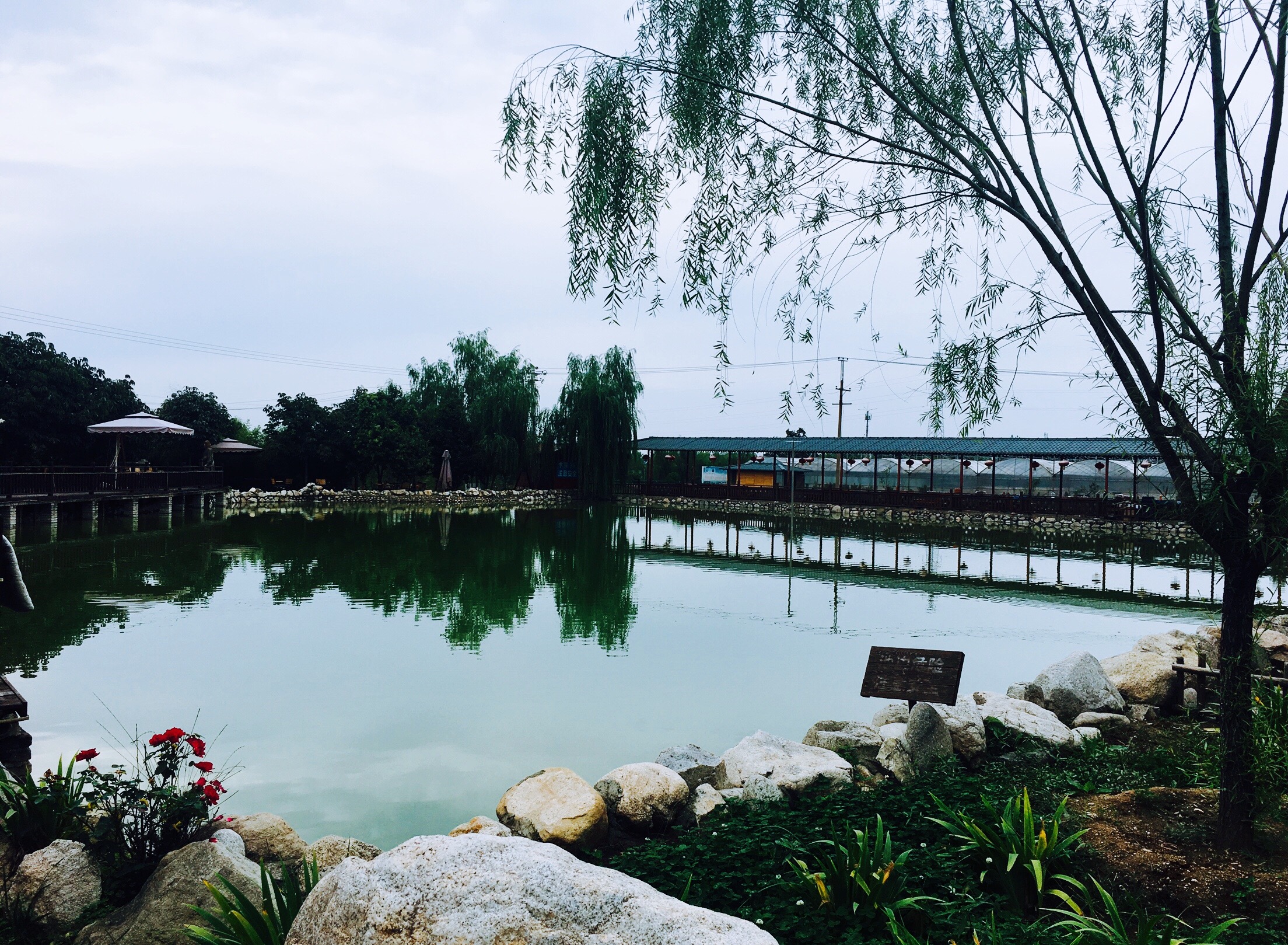 报告老板有几季,报告老板从哪里火的