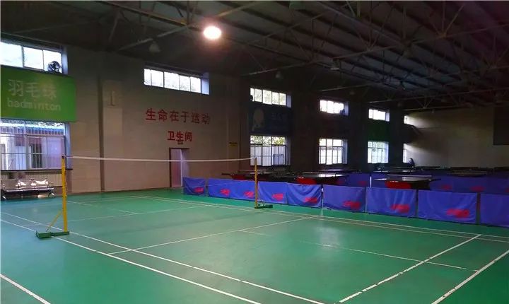 报告老板有几季,报告老板从哪里火的