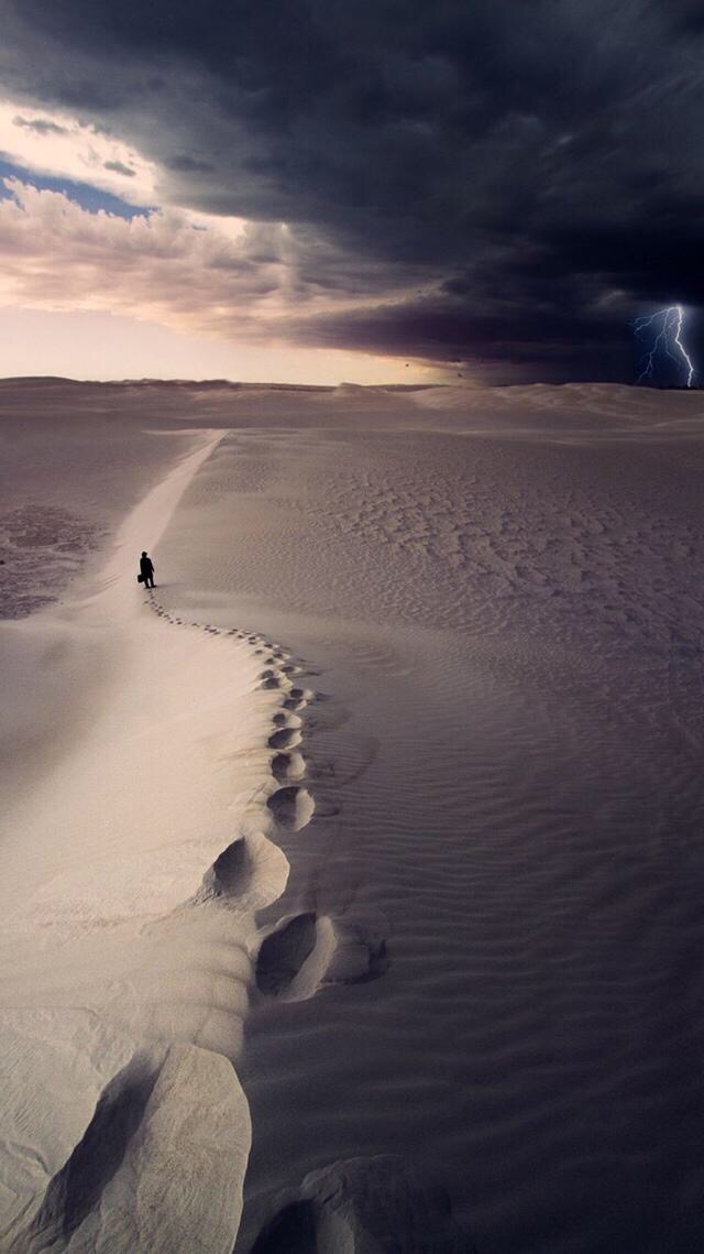 国内期货交易模式,期货高手交易模式