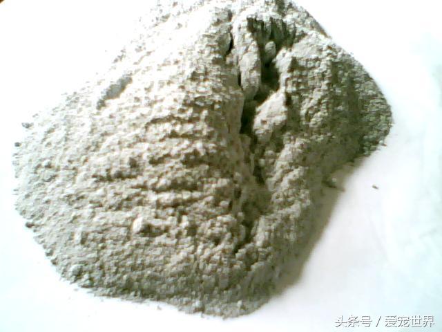 狗狗拉出的便便发霉一样,怎样从狗狗的便便颜色判断病情