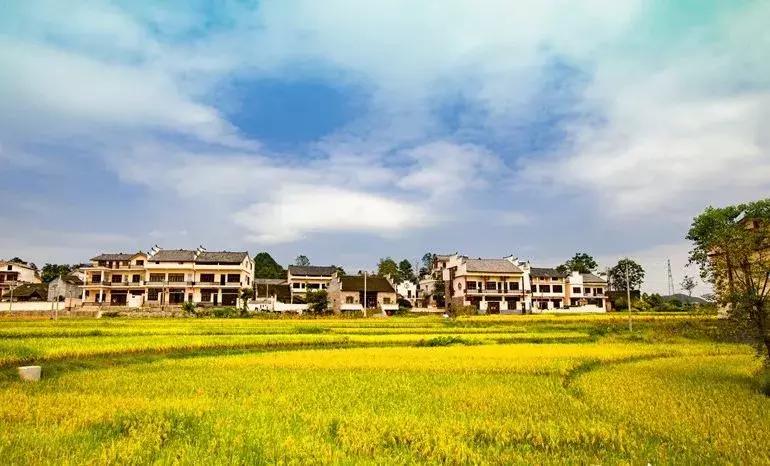 世界春城排行榜中国8城市入围,贵州黔西南是几线城市