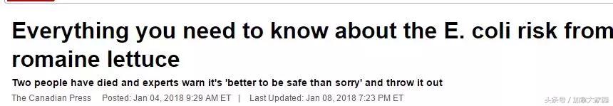 紧急！E.coli0157:H7杀到，最近美国，加拿大的生菜都别吃了！