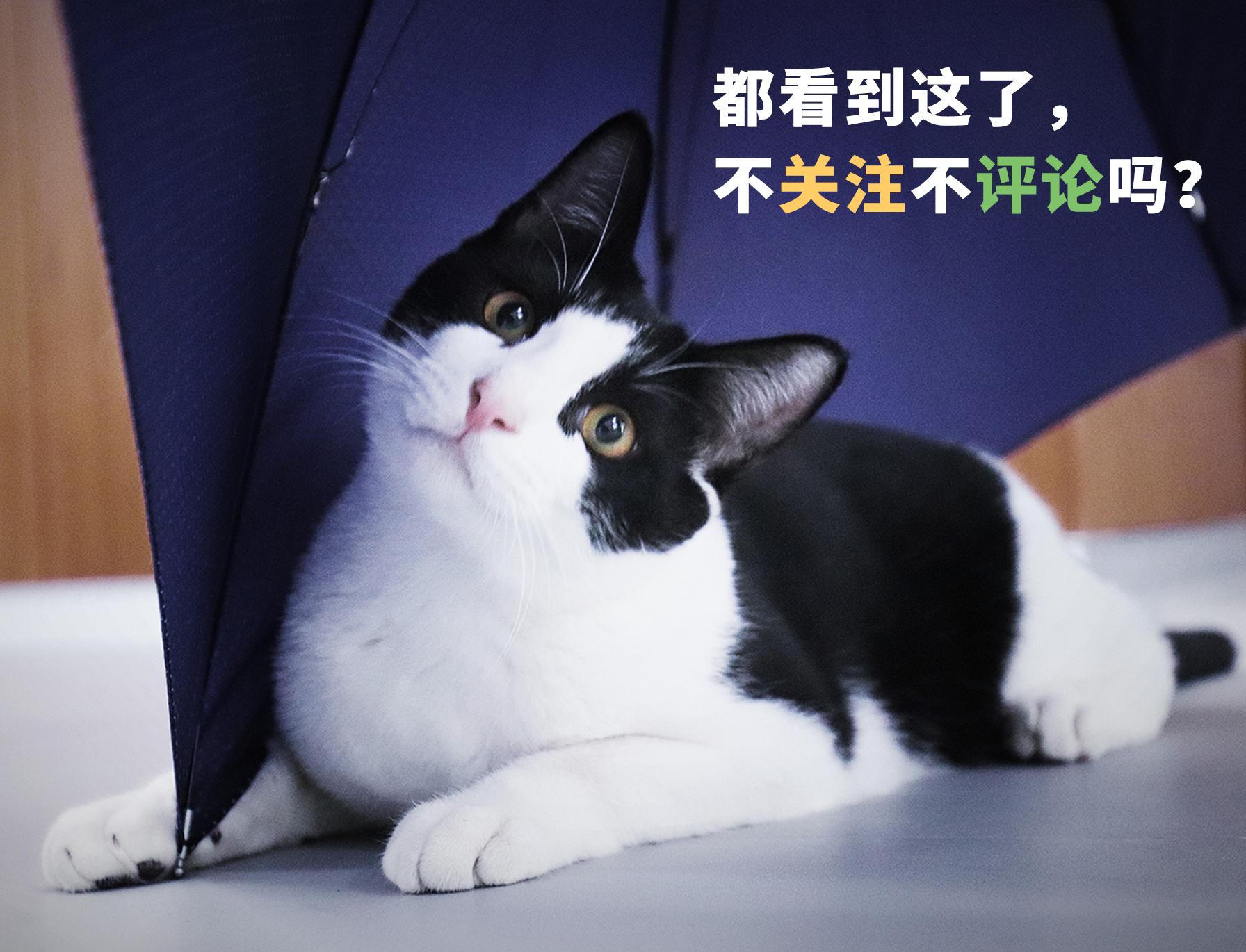 威化最好吃的是哪种,哪个品牌的威化最好吃