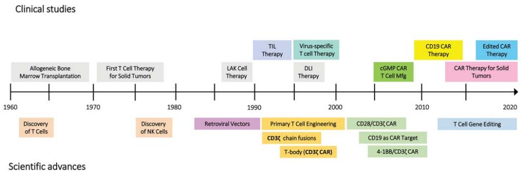 目前最理想的基因治疗策略,回顾基因治疗的重大历史事件