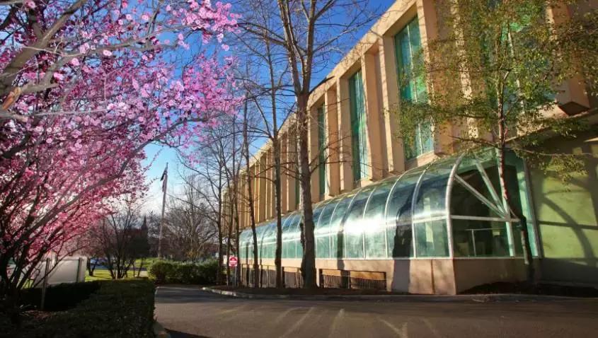 澳洲留学一年花销第一弹之学费篇,留学澳洲2019学费和生活费