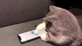 跳一跳跳跳跳跳跳跳跳跳跳跳跳跳跳