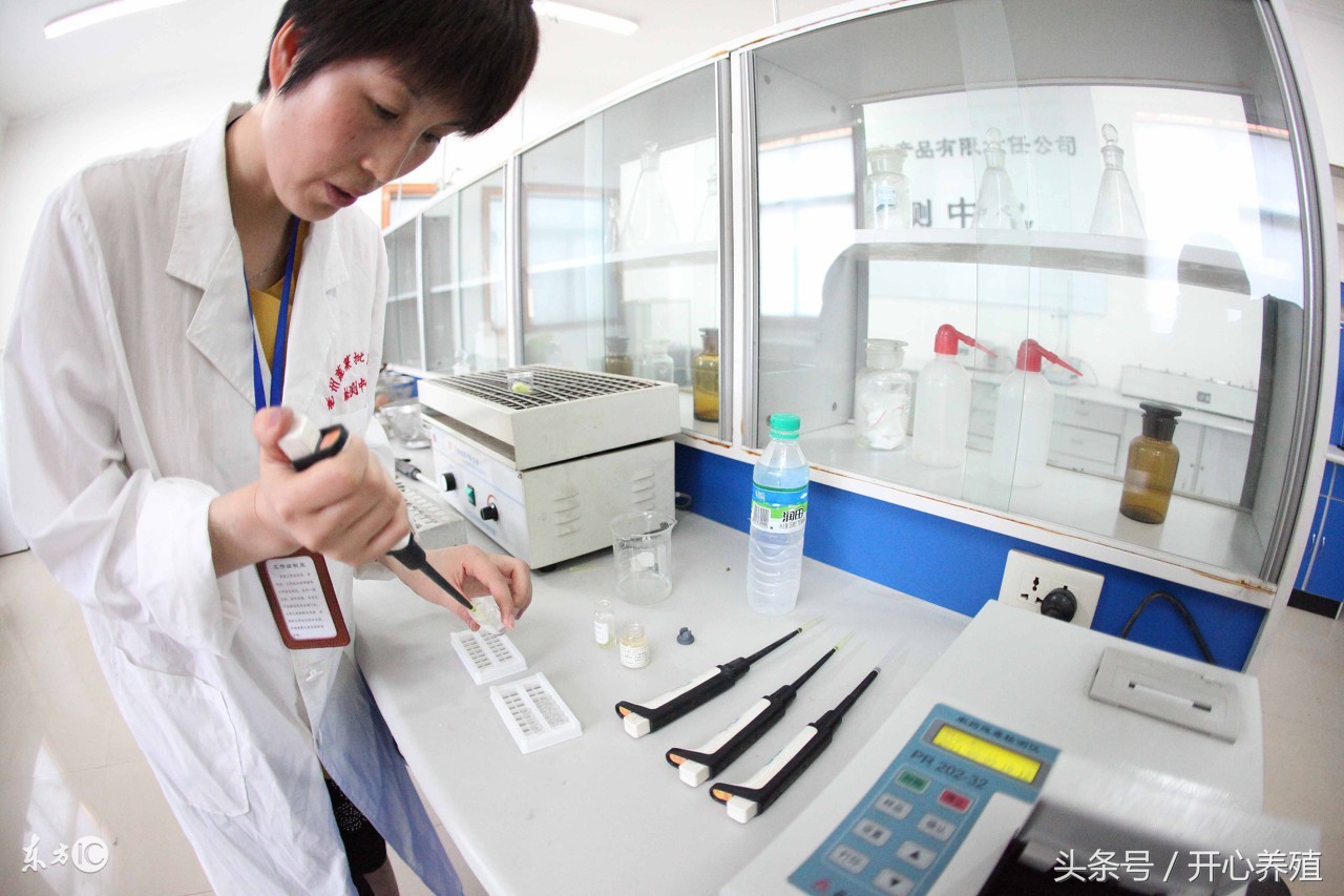 羊接种布病疫苗,布病疫苗一支多少羊用