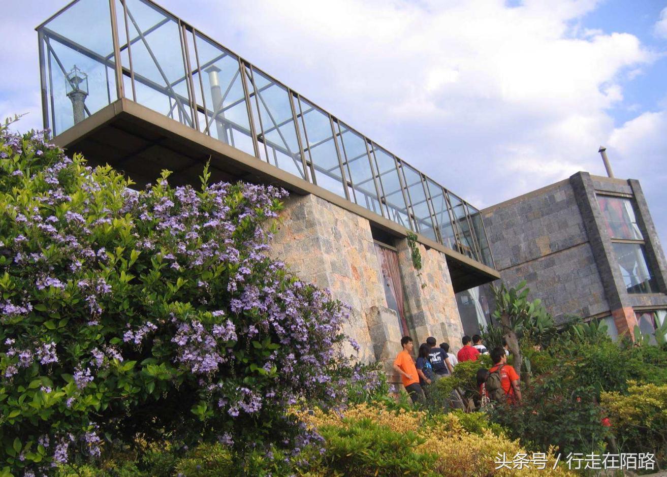 杨丽萍酒店分析,杨丽萍艺术酒店多少钱一晚