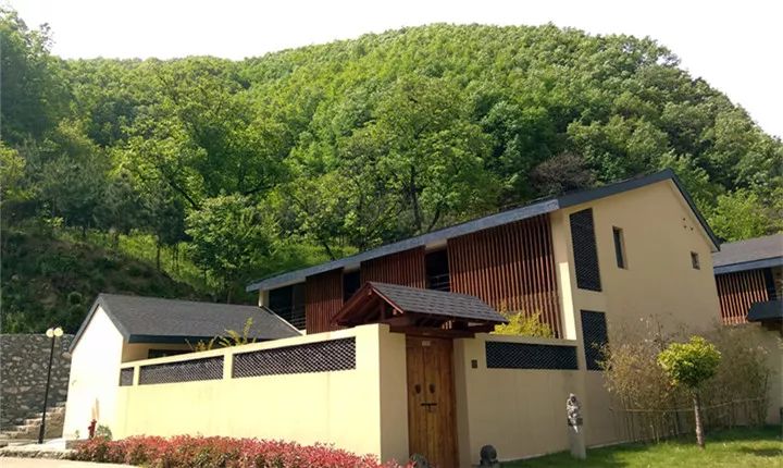 报告老板有几季,报告老板从哪里火的