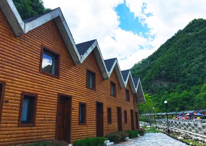 报告老板有几季,报告老板从哪里火的