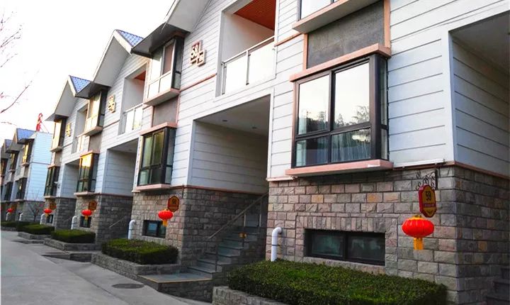 报告老板有几季,报告老板从哪里火的