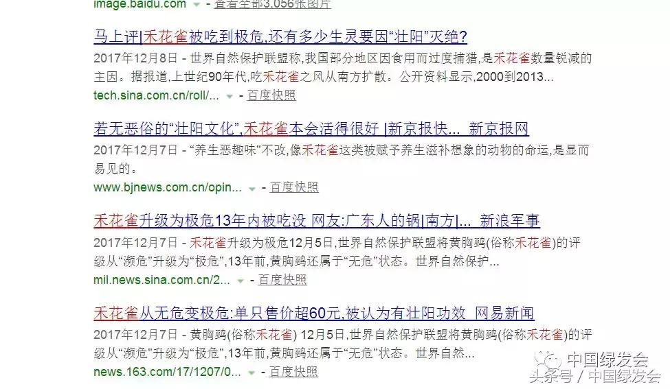 禾花雀搜索对比｜看百度搜狗360必应的社会责任和对用户意见的反应