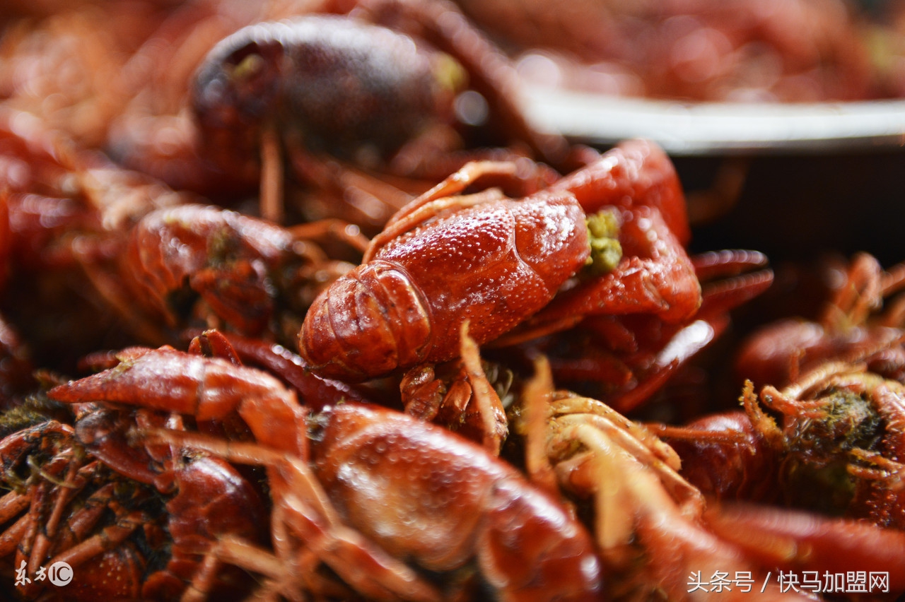 农村发展有潜力的55个项目,山区乡镇产业发展项目