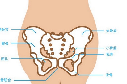 孕33周耻骨疼得厉害怎样才能缓解,孕晚期耻骨疼痛难忍一招帮你缓解