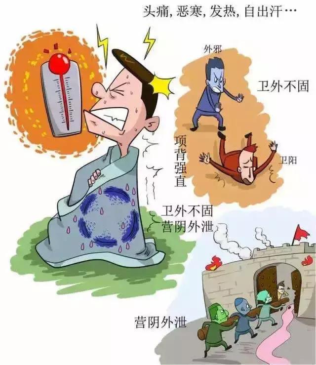 张仲景对伤寒论的讲解,张仲景书写伤寒论的艰辛历程