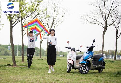 新蕾电动车智帅配置,新蕾电动车特点是什么