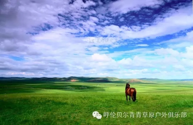 呼伦贝尔自由行攻略,呼伦贝尔自由行