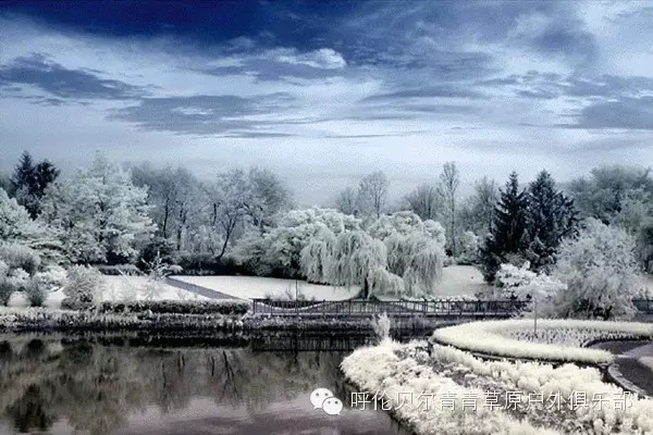 呼伦贝尔自由行攻略,呼伦贝尔自由行