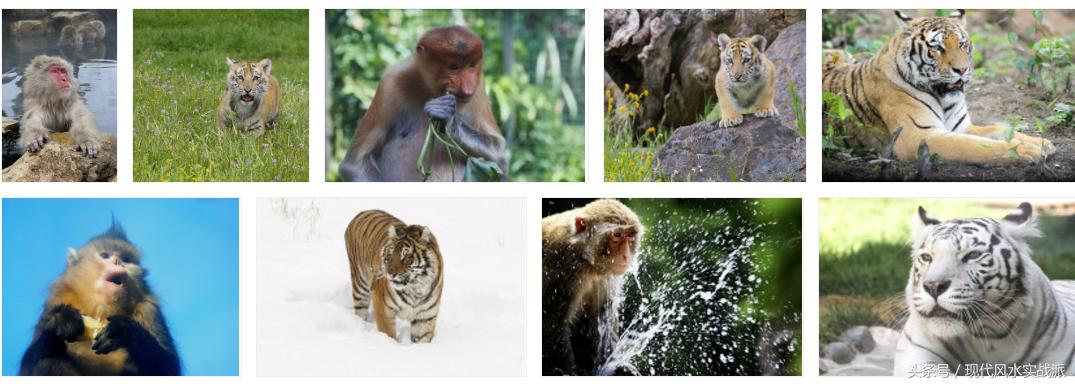 风水命理知识点大全图解,生肖与风水方向冲合