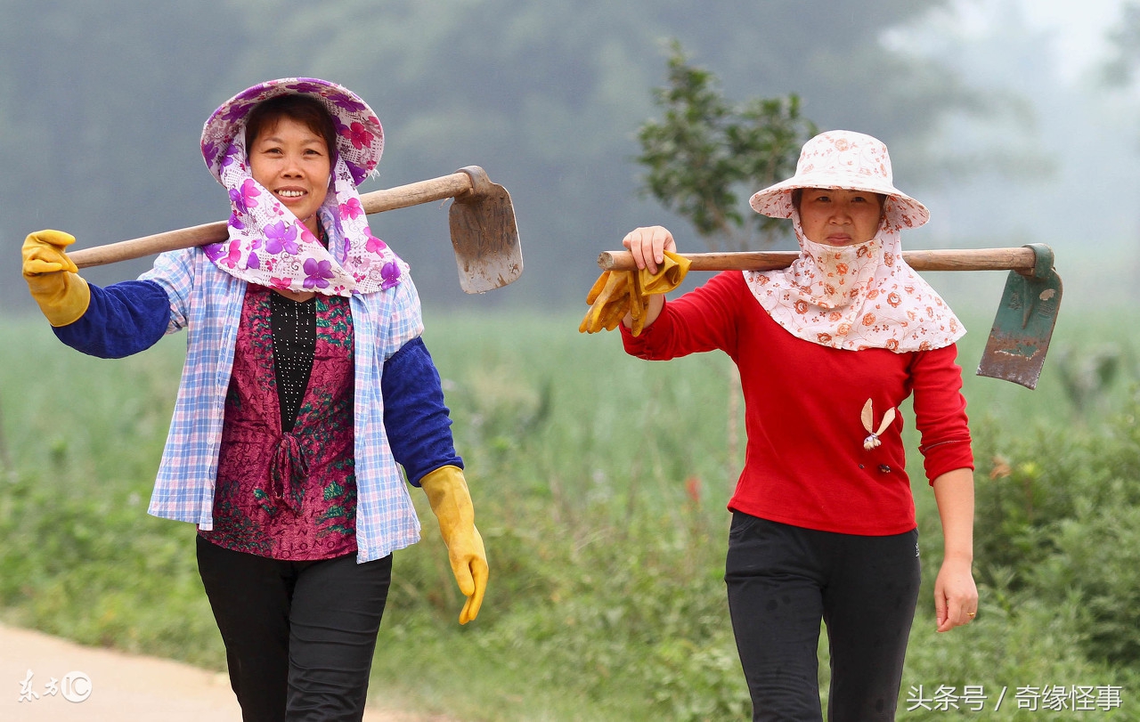孩子满月，受我家多年恩惠的堂姐只送旧衣服，扔回去却挨了打