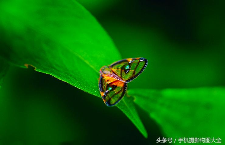 新手必须掌握的20个摄影构图法,摄影必学的9种构图