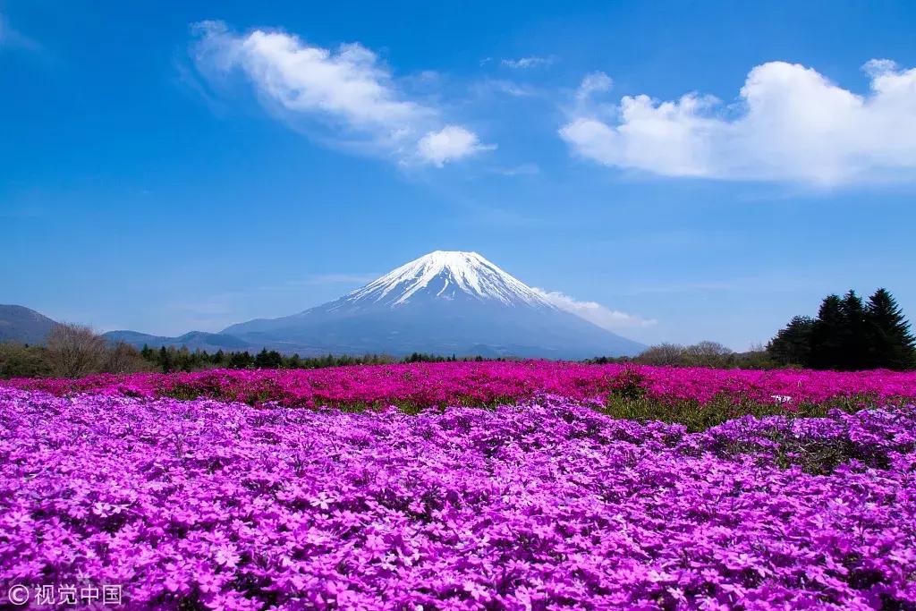 刚办的护照能去哪些国家旅游,白本护照怎么去加拿大