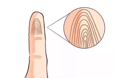 关于手纹的秘密,手纹密码